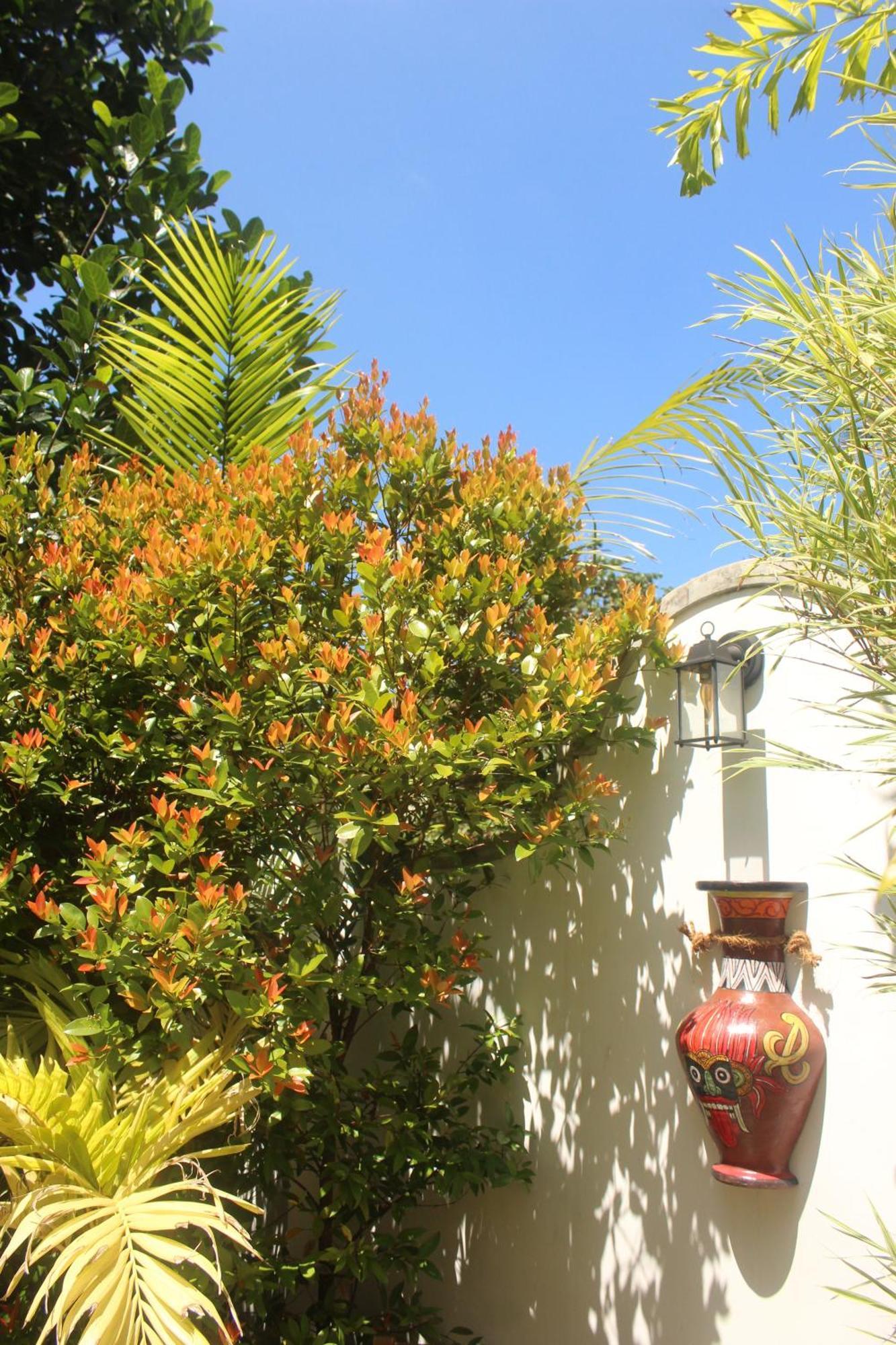 Villa Olde Ceylon キャンディー エクステリア 写真