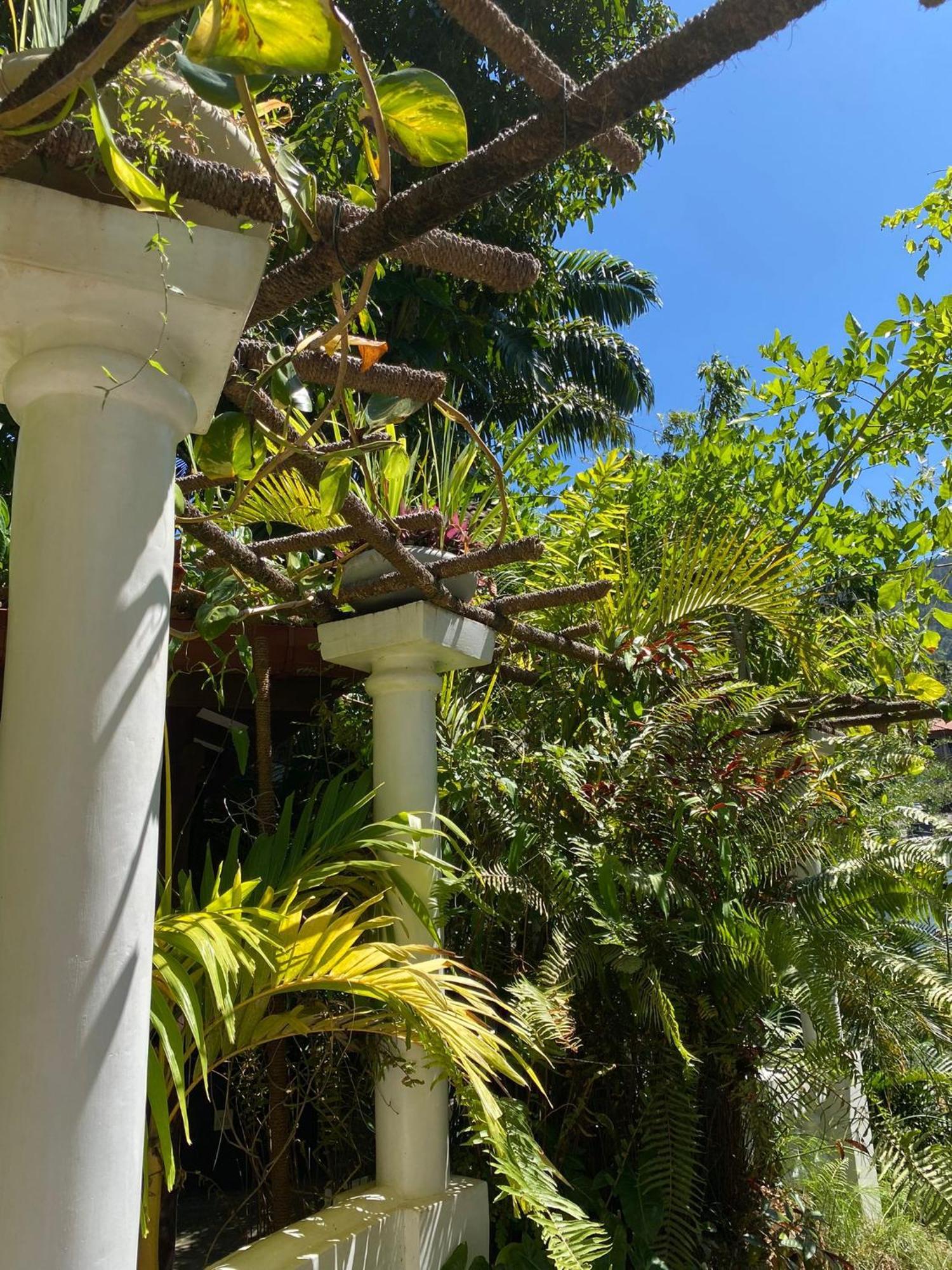 Villa Olde Ceylon キャンディー エクステリア 写真